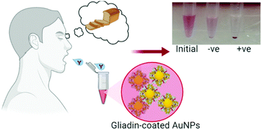 Graphical abstract: Gliadin-coated gold nanoparticles for rapid colorimetric test for celiac disease