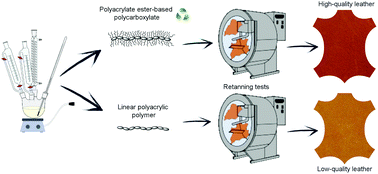 Graphical abstract: Novel approaches in the use of polyacrylate ester-based polycarboxylates (PCEs) as leather retanning agents