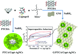 Graphical abstract: Supercapacitive behaviour of a novel nanocomposite of 3,4,9,10-perylenetetracarboxylic acid incorporated captopril-Ag nanocluster decorated on graphene nanosheets