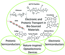 Graphical abstract: Electronic and protonic transport in bio-sourced materials: a new perspective on semiconductivity