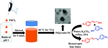 Graphical abstract: Green synthesis of silver and palladium nanocomposites: a study of catalytic activity towards etherification reaction