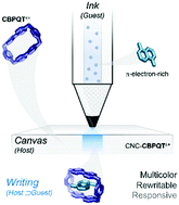 Graphical abstract: Guest-conditioned multicolor writing on cellulose nanocrystal canvases