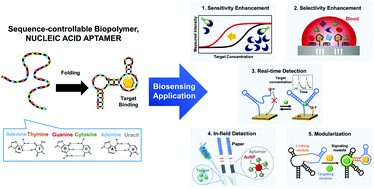 Graphical abstract: Detection and beyond: challenges and advances in aptamer-based biosensors