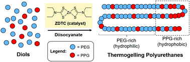 Graphical abstract: Zinc diethyldithiocarbamate as a catalyst for synthesising biomedically-relevant thermogelling polyurethanes