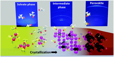 Graphical abstract: Hybrid perovskite crystallization from binary solvent mixtures: interplay of evaporation rate and binding strength of solvents