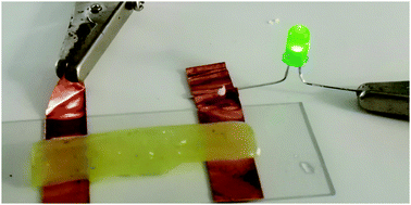 Graphical abstract: Living electrodes based on green algae in hydrogels