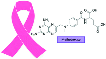 Graphical abstract: Breast cancer: insights in disease and influence of drug methotrexate