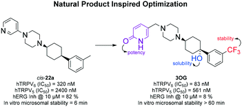 Graphical abstract: Natural product inspired optimization of a selective TRPV6 calcium channel inhibitor
