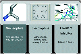 Graphical abstract: Covalent inhibitors: a rational approach to drug discovery