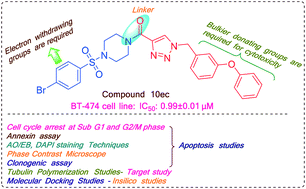 Graphical abstract: Design and synthesis of substituted (1-(benzyl)-1H-1,2,3-triazol-4-yl)(piperazin-1-yl)methanone conjugates: study on their apoptosis inducing ability and tubulin polymerization inhibition