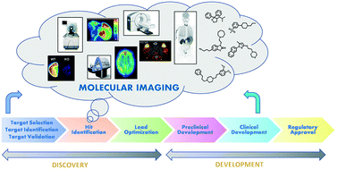 Graphical abstract: In vitro and in vivo sigma 1 receptor imaging studies in different disease states