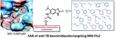 Graphical abstract: Structure–activity relationship studies on 2,5,6-trisubstituted benzimidazoles targeting Mtb-FtsZ as antitubercular agents