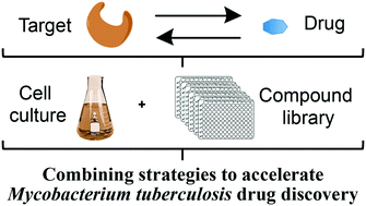Graphical abstract: Mycobacterial drug discovery