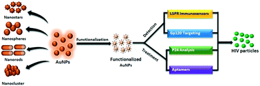 Graphical abstract: Functionalized gold nanoparticles: promising and efficient diagnostic and therapeutic tools for HIV/AIDS