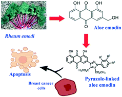 Graphical abstract: Design, synthesis, and biological evaluation of pyrazole-linked aloe emodin derivatives as potential anticancer agents