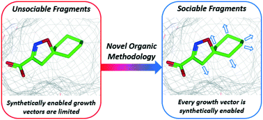 Graphical abstract: Fragment-based drug discovery: opportunities for organic synthesis