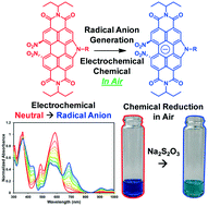 Graphical abstract: Synthesis, self-assembly, and air-stable radical anions of unconventional 6,7-bis-nitrated N-annulated perylene diimides