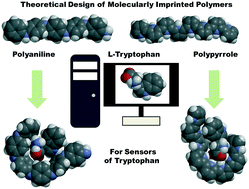 Graphical abstract: Theoretical design of molecularly imprinted polymers based on polyaniline and polypyrrole for detection of tryptophan