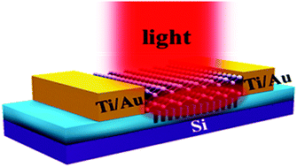 Graphical abstract: Strain engineering coupled with optical regulation towards a high-sensitivity In2S3 photodetector