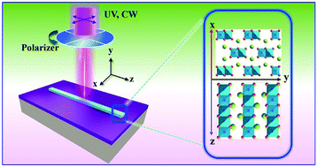 Graphical abstract: Solution-processed one-dimensional CsCu2I3 nanowires for polarization-sensitive and flexible ultraviolet photodetectors