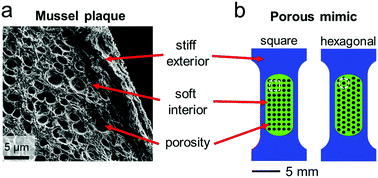 Graphical abstract: Engineering crack tortuosity in printed polymer–polymer composites through ordered pores