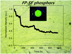 Graphical abstract: Biogenic fluorescent protein–silk fibroin phosphors for high performing light-emitting diodes