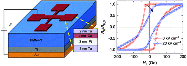 Graphical abstract: Giant magnetoelectric effect in perpendicularly magnetized Pt/Co/Ta ultrathin films on a ferroelectric substrate