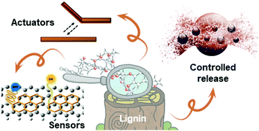 Graphical abstract: Lignin-based smart materials: a roadmap to processing and synthesis for current and future applications