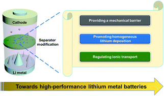 Graphical abstract: Functional separators towards the suppression of lithium dendrites for rechargeable high-energy batteries