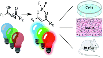 Graphical abstract: Recent advances in dioxaborine-based fluorescent materials for bioimaging applications