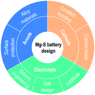 Graphical abstract: Material design strategies to improve the performance of rechargeable magnesium–sulfur batteries