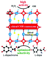 Graphical abstract: A chiral covalent organic framework (COF) nanozyme with ultrahigh enzymatic activity