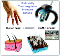 Graphical abstract: 2D-Material-integrated hydrogels as multifunctional protective skins for soft robots