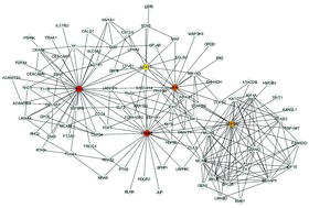 Graphical abstract: Identification of core miRNAs and regulatory pathways in breast cancer by integrated bioinformatics analysis