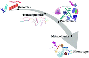 Graphical abstract: Metabolomics: small molecules that matter more