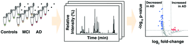 Graphical abstract: Cerebrospinal fluid lipidomics for biomarkers of Alzheimer's disease