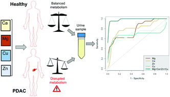 Graphical abstract: Urine metallomics signature as an indicator of pancreatic cancer