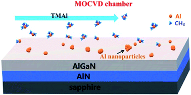 Graphical abstract: In situ fabrication of Al surface plasmon nanoparticles by metal–organic chemical vapor deposition for enhanced performance of AlGaN deep ultraviolet detectors