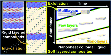 Graphical abstract: Formation processes, size changes, and properties of nanosheets derived from exfoliation of soft layered inorganic–organic composites