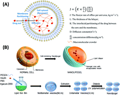 Graphical abstract: Nanolipogels as a cell-mimicking platform for controlled release of biomacromolecules