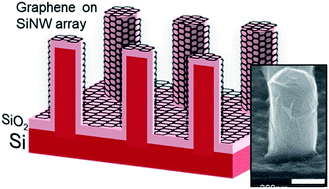 Graphical abstract: On-site growth method of 3D structured multi-layered graphene on silicon nanowires