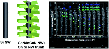 Graphical abstract: Three-dimensional hierarchical semi-polar GaN/InGaN MQW coaxial nanowires on a patterned Si nanowire template