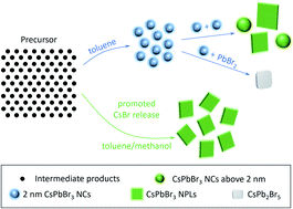 Graphical abstract: Methanol-induced fast CsBr release results in phase-pure CsPbBr3 perovskite nanoplatelets