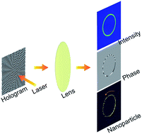 Graphical abstract: Rapidly and accurately shaping the intensity and phase of light for optical nano-manipulation