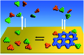 Graphical abstract: Monomolecular covalent honeycomb nanosheets produced by surface-mediated polycondensation between 1,3,5-triamino benzene and benzene-1,3,5-tricarbox aldehyde on Au(111)