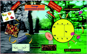 Graphical abstract: Agro-waste extracted cellulose supported silver phosphate nanostructures as a green photocatalyst for improved photodegradation of RhB dye and industrial fertilizer effluents