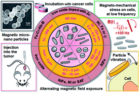 Graphical abstract: Cancer treatment by magneto-mechanical effect of particles, a review