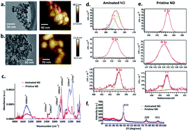 Graphical abstract: The protein corona determines the cytotoxicity of nanodiamonds: implications of corona formation and its remodelling on nanodiamond applications in biomedical imaging and drug delivery