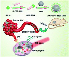 Graphical abstract: IR820 functionalized melanin nanoplates for dual-modal imaging and photothermal tumor eradication