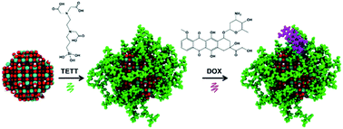 Graphical abstract: TETT-functionalized TiO2 nanoparticles for DOX loading: a quantum mechanical study at the atomic scale